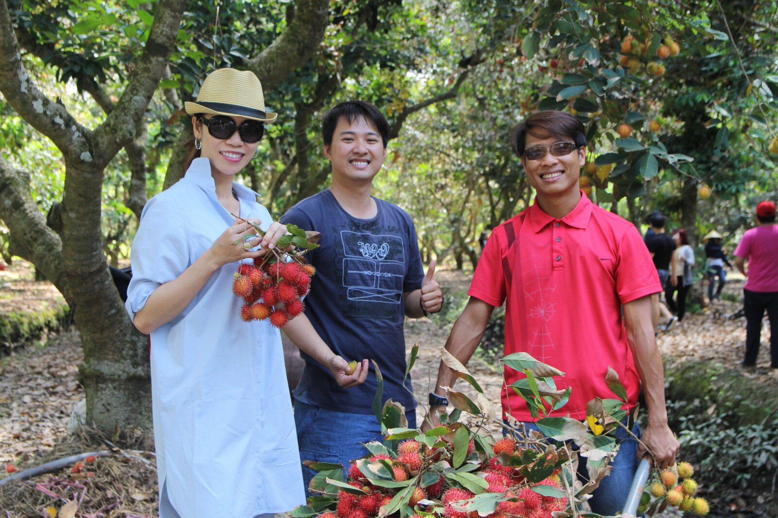 Experience Ben Tre’s culture with guided tours